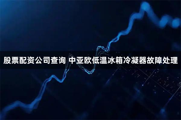 股票配资公司查询 中亚欧低温冰箱冷凝器故障处理