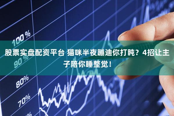 股票实盘配资平台 猫咪半夜蹦迪你打盹？4招让主子陪你睡整觉！