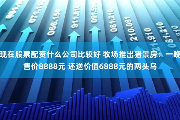 现在股票配资什么公司比较好 牧场推出猪景房：一晚售价8888元 还送价值6888元的两头乌